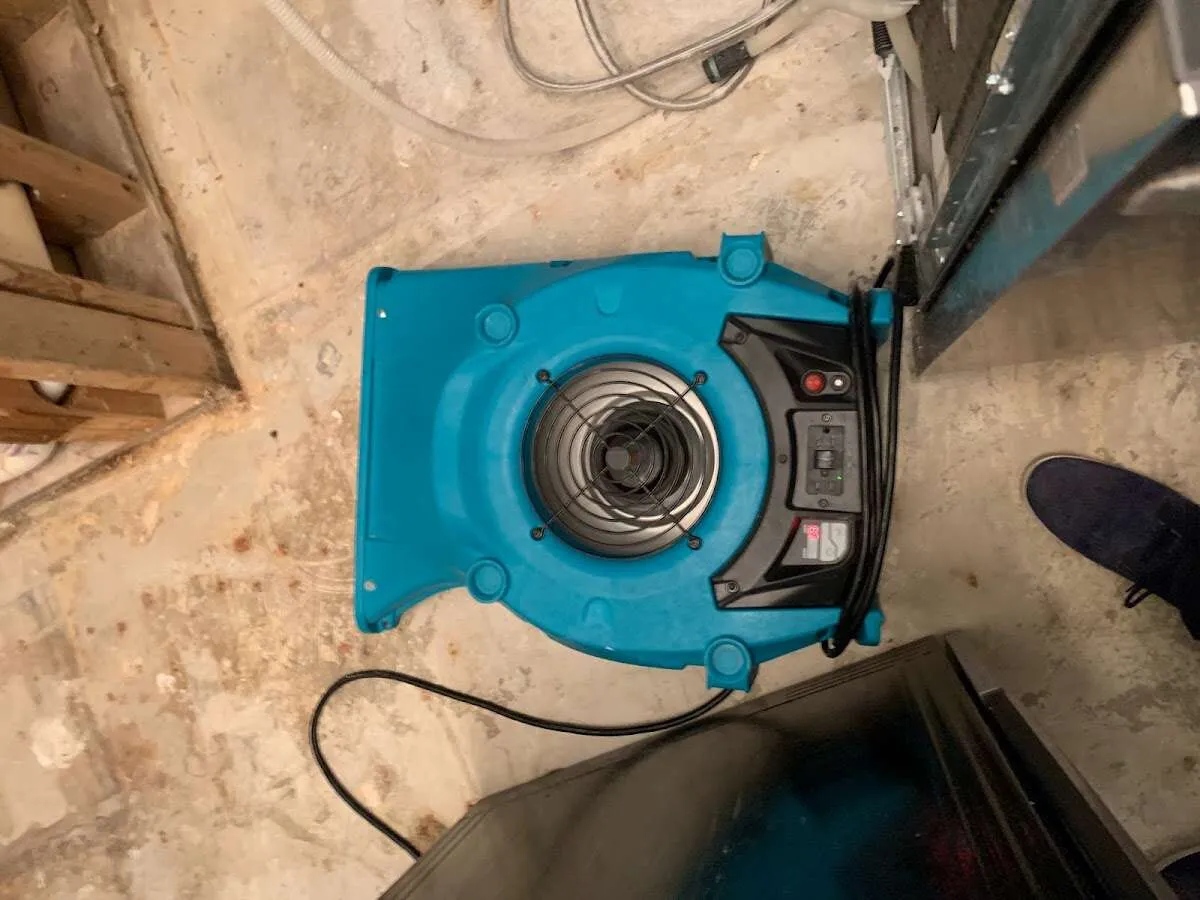 Air mover drying equipment for Mold Remediation & Removal in Upper Deerfield